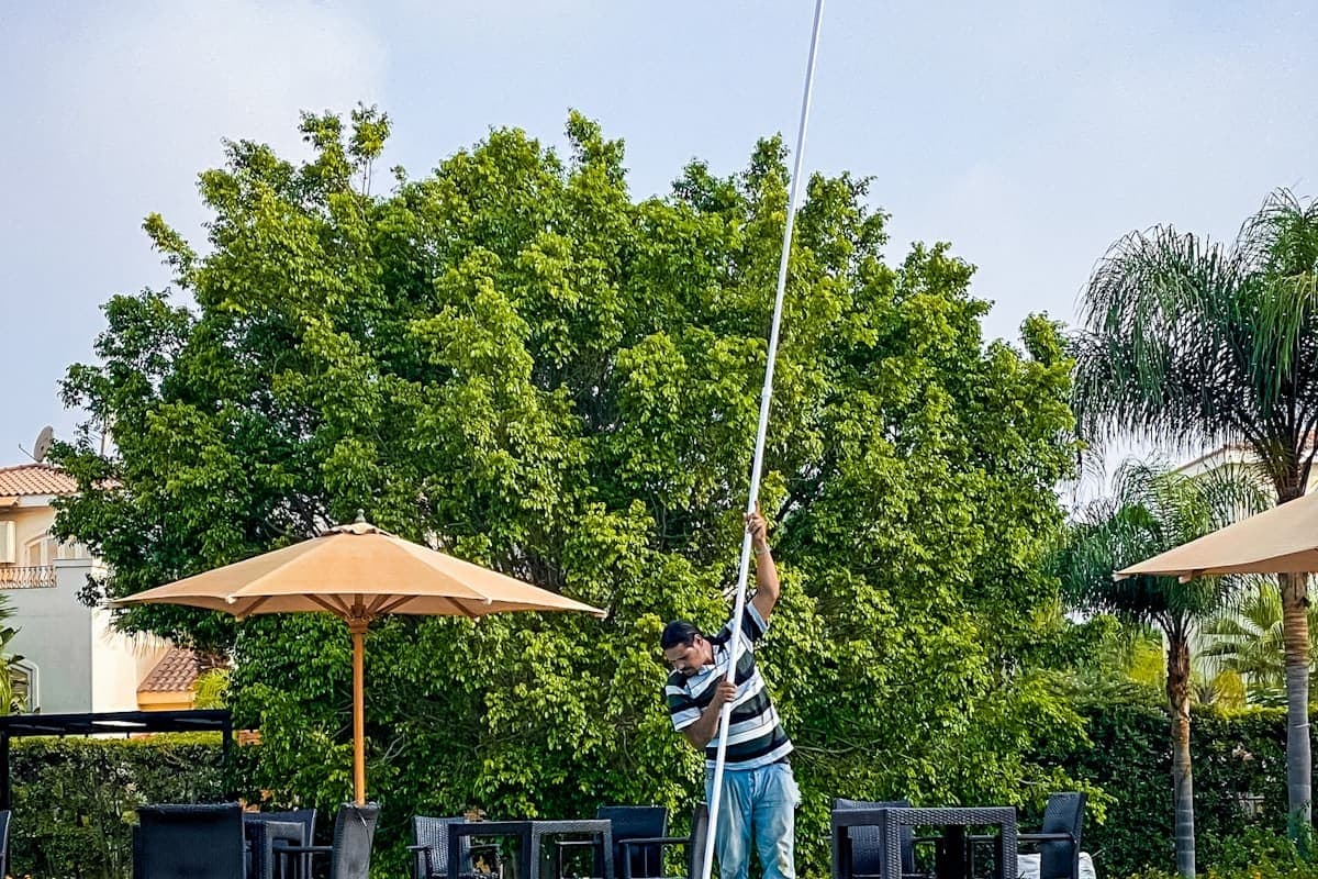 Pool technician reading a chemical test strip at a residential pool